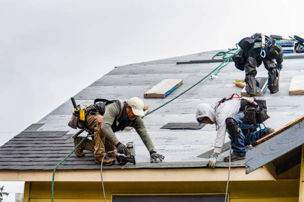 Professional Storm Damage Roof Repair technician working in Raymond, MN